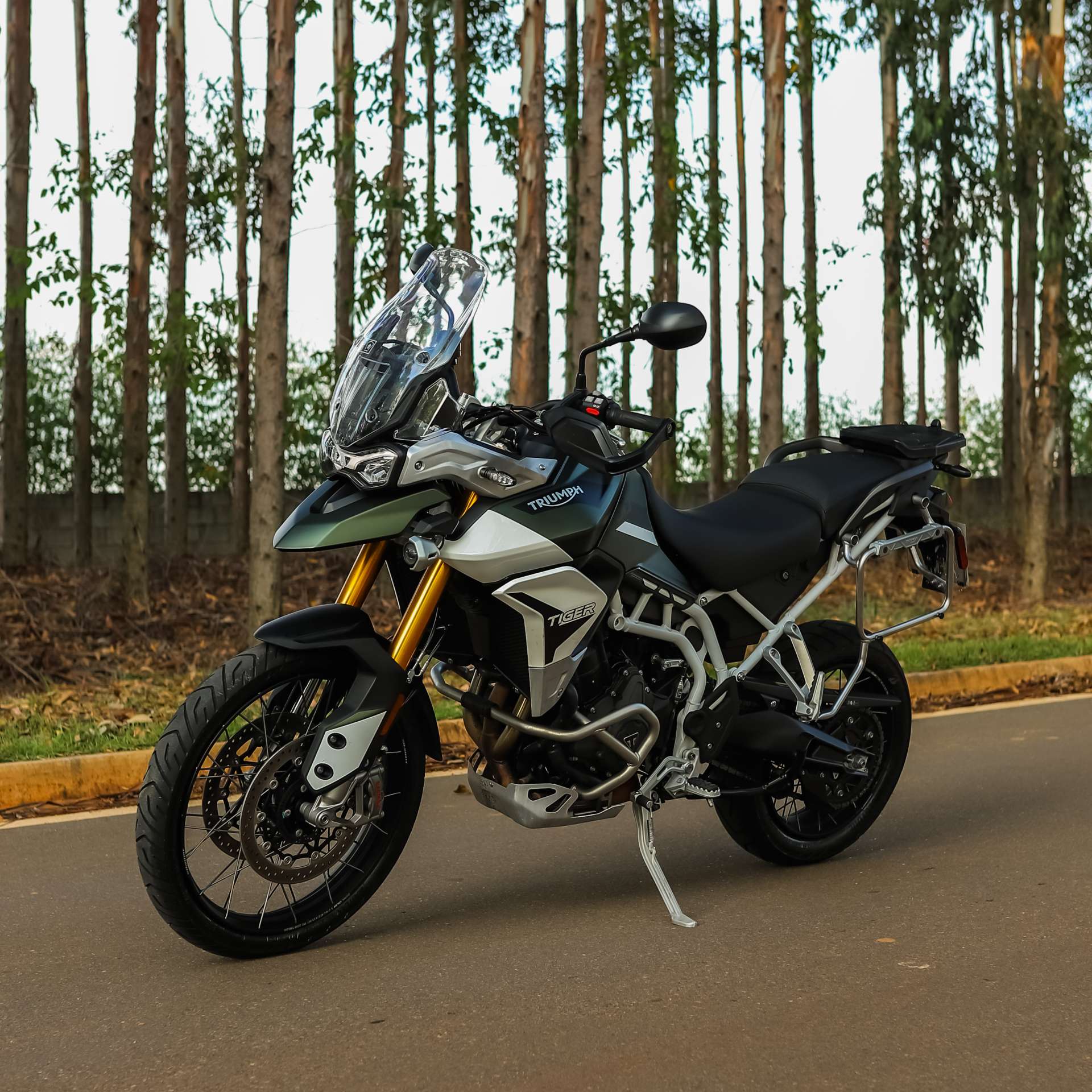 TIGER 900 RALLY PRO OU 60 MIL NO PIX!!