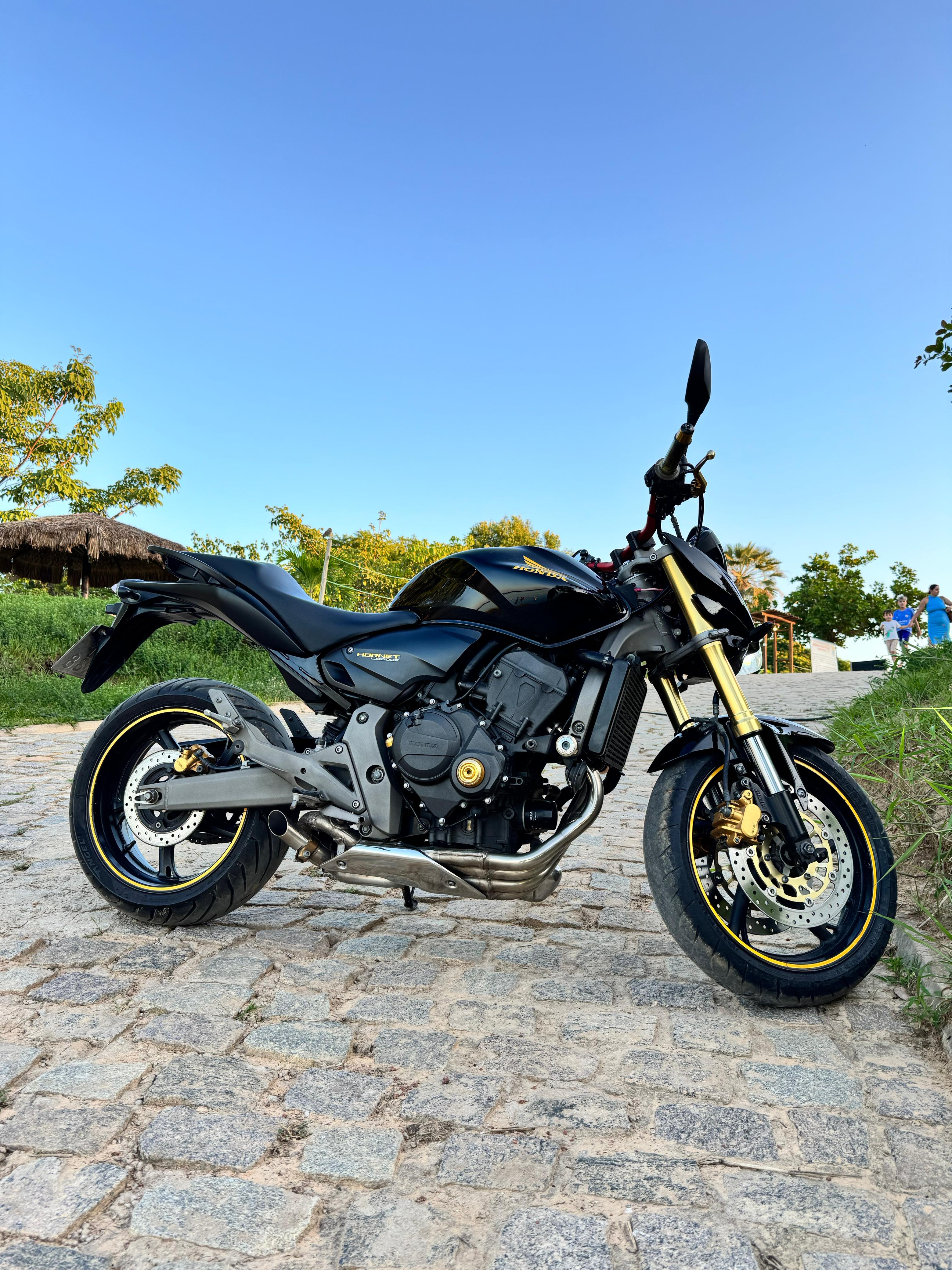 HORNET 2010