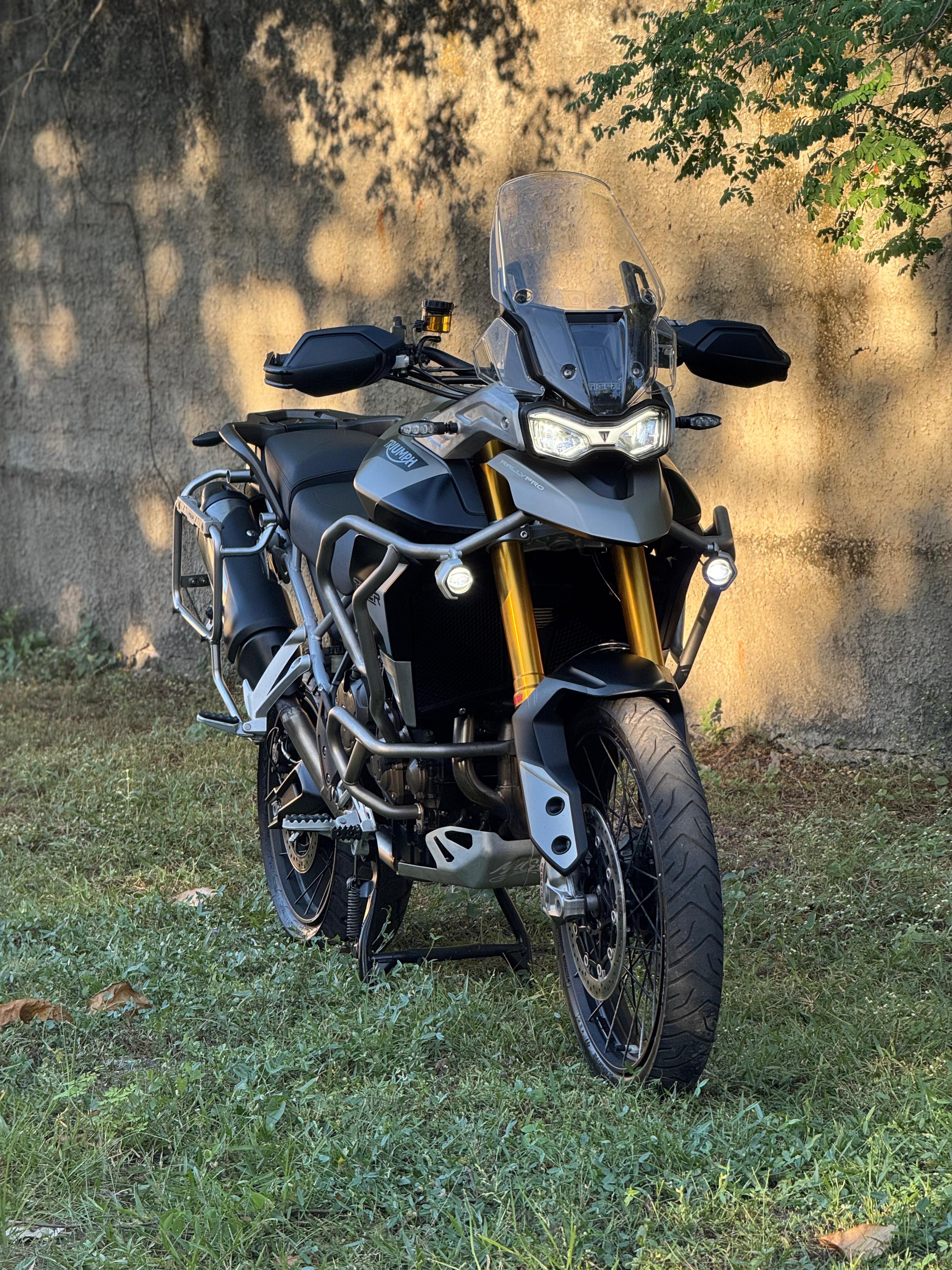 Tiger 900 rally pro 2023