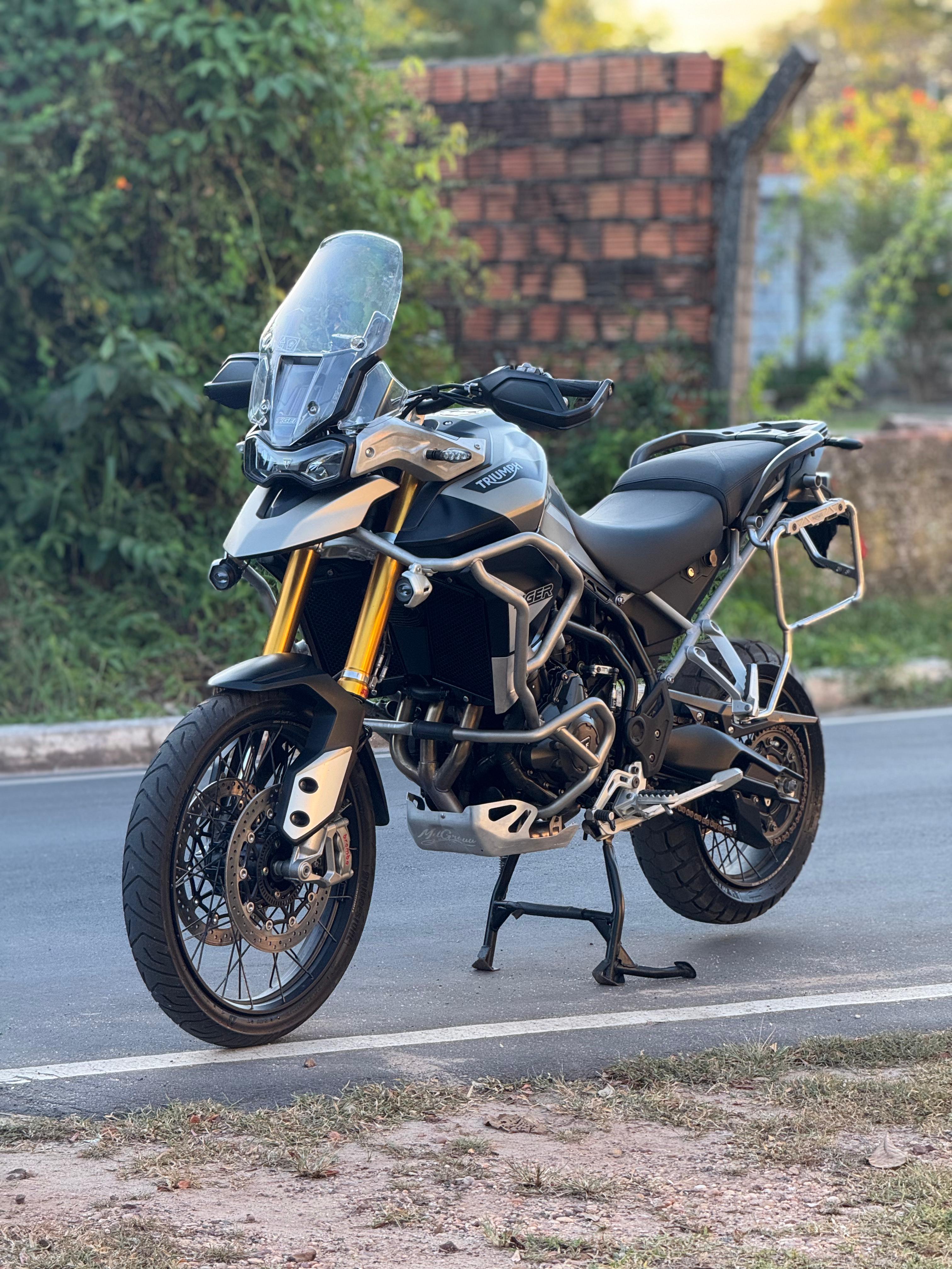 Tiger 900 rally pro 2023