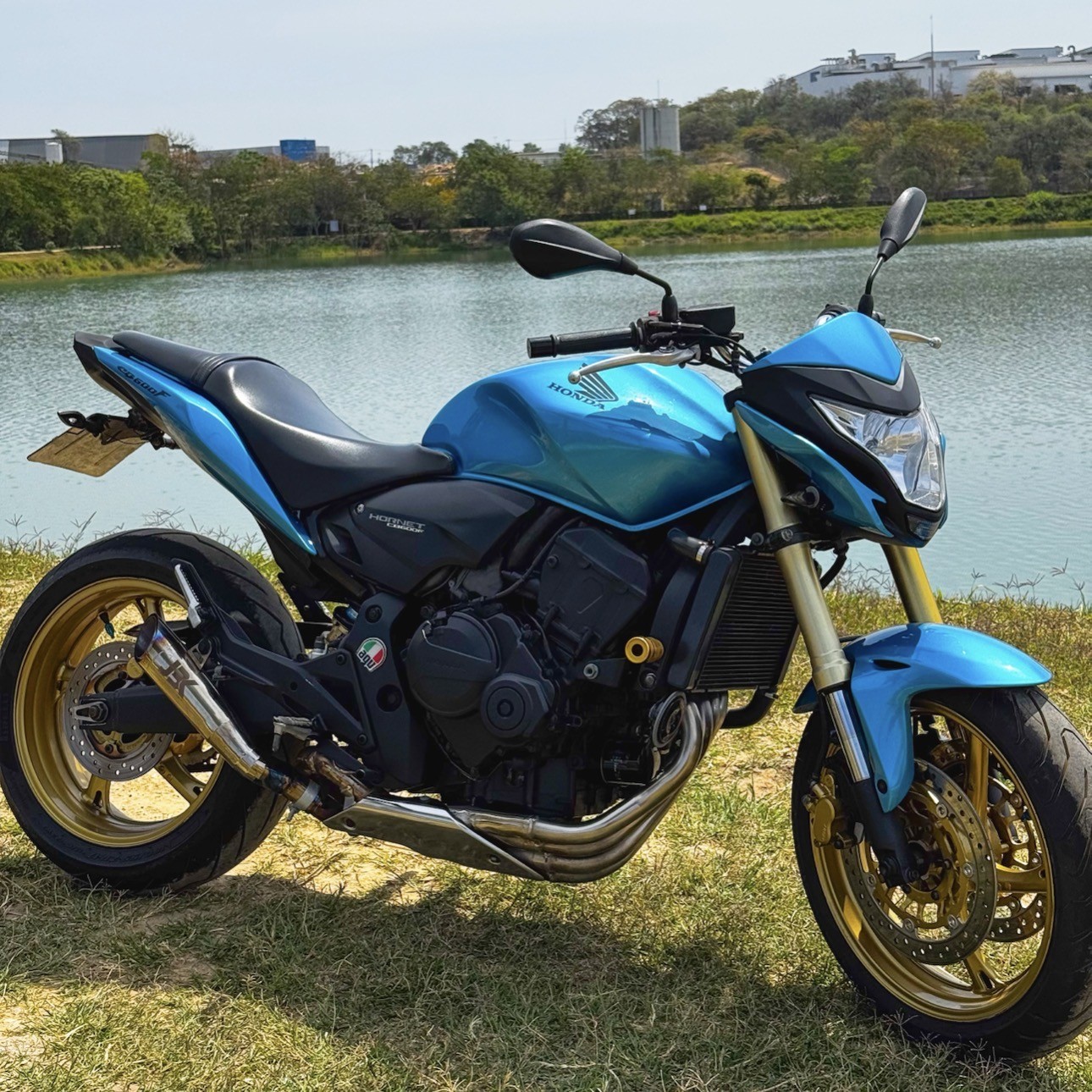 HORNET DOS SONHOS